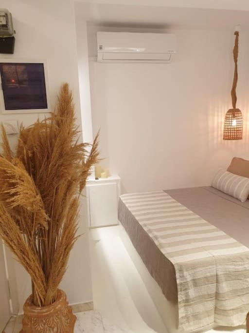 Amalthea Guest House 코스 타운 외부 사진
